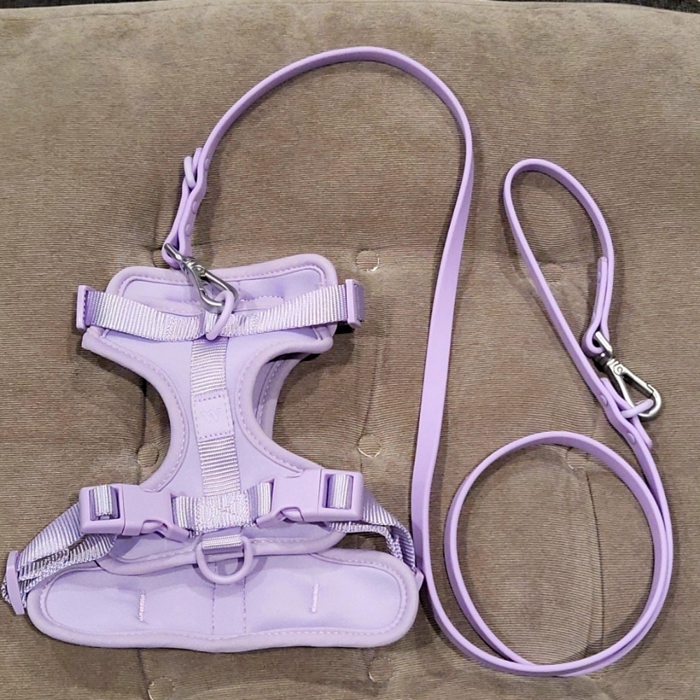 Wild One Lilac Dog Harness and leash